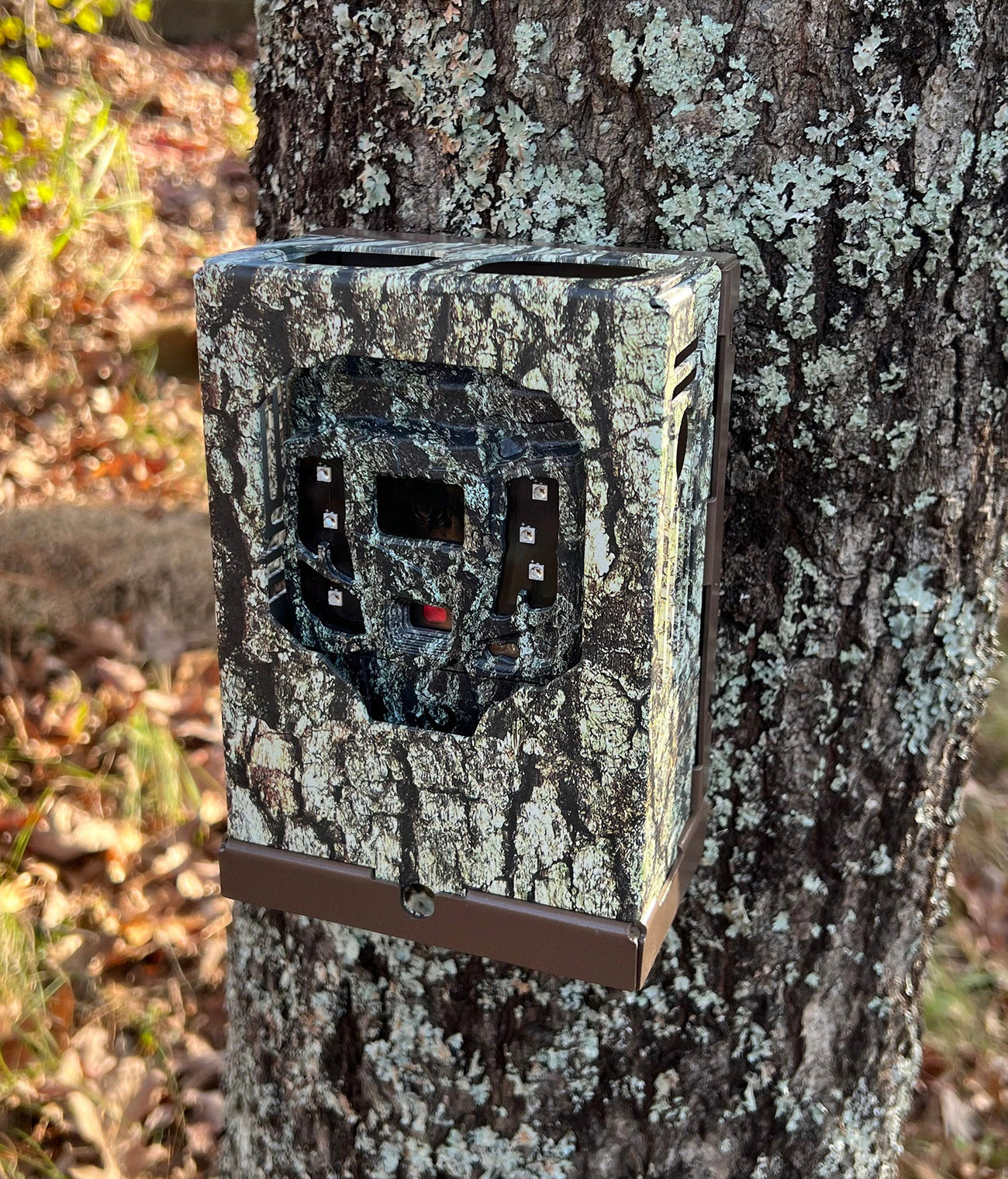 Cellular Trail Camera Security Box