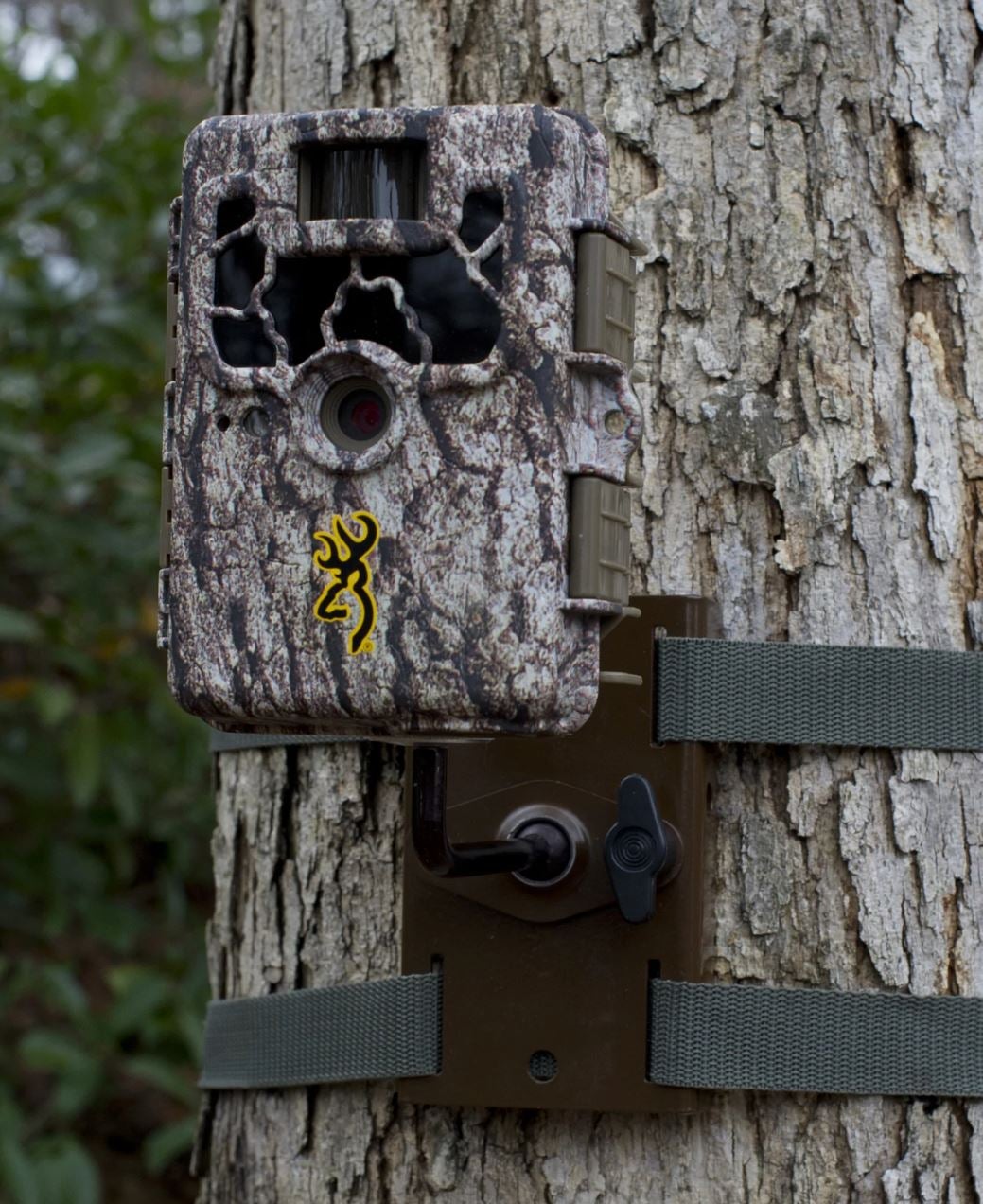 Trail Camera Tree Mount